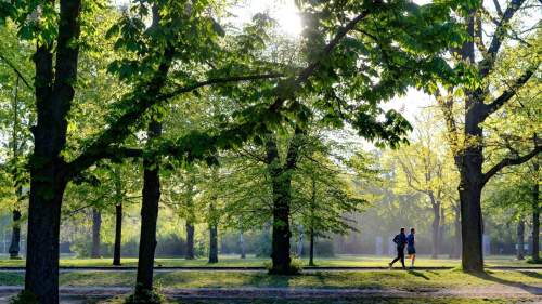 Parc de Lille - Hôtel Chagnot